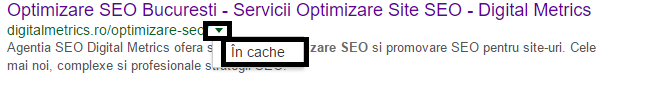 //digitalmetrics.ro/storage/images/blog/2017/03/verificare-google-cache.png