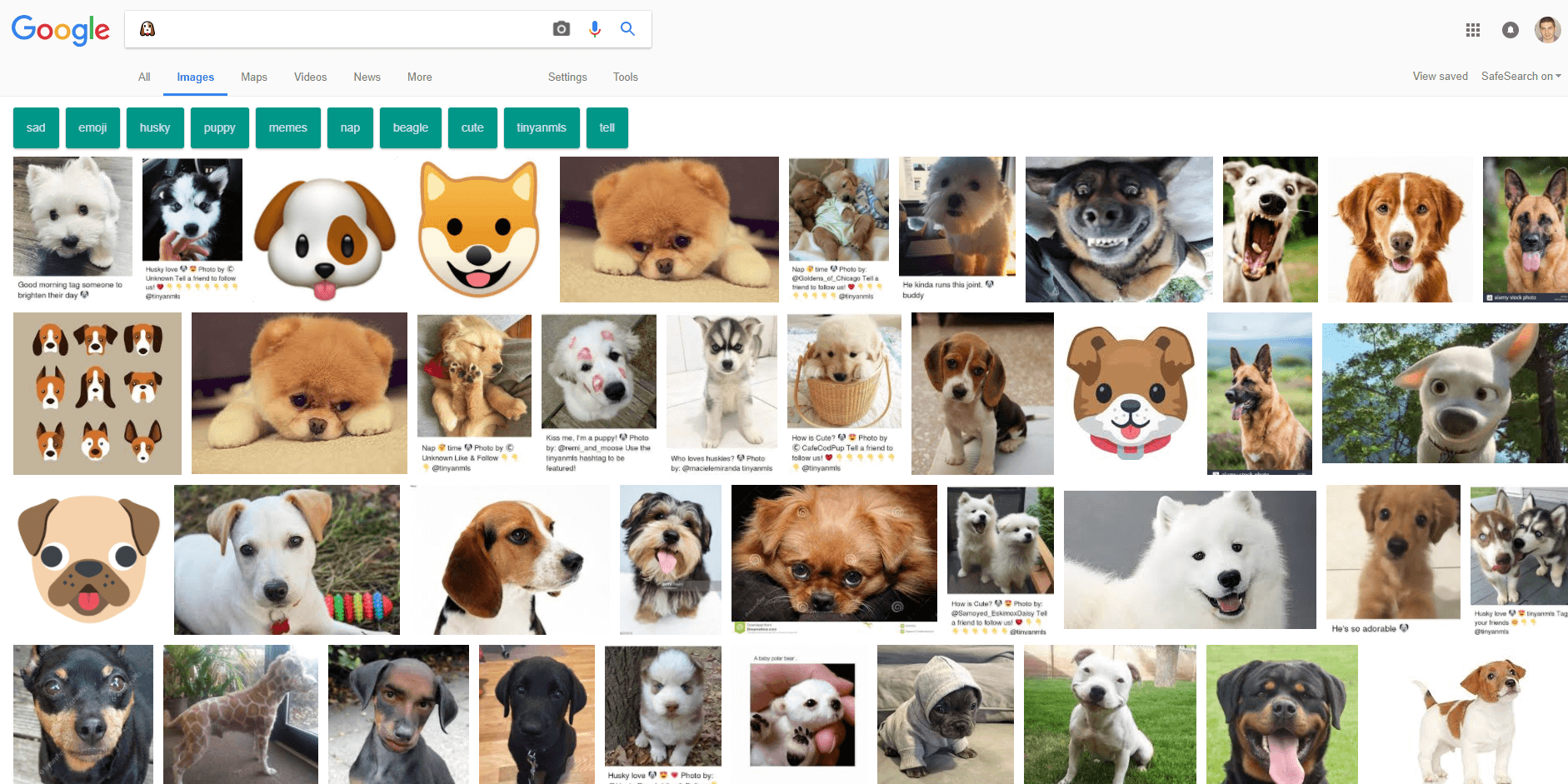 //digitalmetrics.ro/storage/images/blog/2018/04/dogs.png